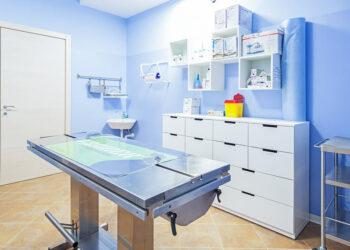 Crotone, esercizio abusivo della professione e sul randagismo: interviene l’Ordine Veterinari della Provincia