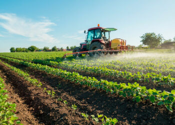 Crucoli escluso dai territori svantaggiati