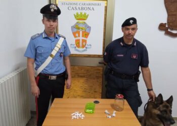 Casabona, i Carabinieri notano un via vai di persone e irrompono nell’abitazione: rinvenuta droga e arrestato proprietario