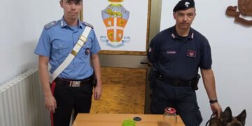Casabona, i Carabinieri notano un via vai di persone e irrompono nell’abitazione: rinvenuta droga e arrestato proprietario