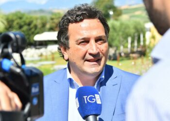 La Frontiera americana, Orsomarso: “Obiettivo è coinvolgere 200 aziende”, oggi tappa nei vigneti di Cirò