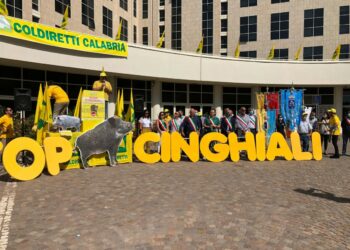 “Noi seminiamo i cinghiali raccolgono basta cinghiali” la manifestazione alla Cittadella Regionale a Catanzaro