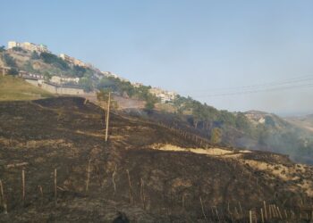 Primo incendio estivo a Cirò in zona Campanise, decine di ettari in fumo