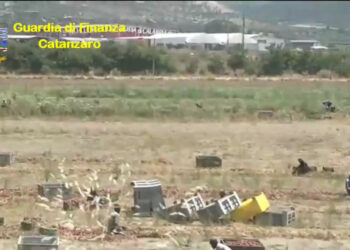 Scovati dalla Finanza 469 extracomunitari con il Reddito di Cittadinanza percepito indebitamente