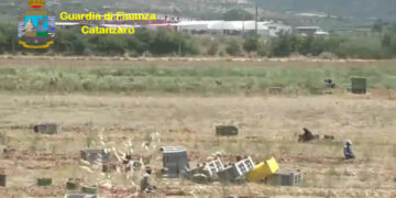 Scovati dalla Finanza 469 extracomunitari con il Reddito di Cittadinanza percepito indebitamente