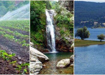 “Le donne dell’acqua” dalla storia dei loro luoghi di lavoro ai loro ‘numeri’ nell’agricoltura: percorsi di empowerment al femminile