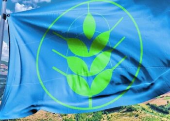 Statti (Confagricoltura Calabria): In Calabria aumentano le “Spighe Verdi”