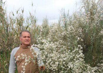 60 mila euro all’Area Sic Dune della Marinella e della Ginestra bianca di Cirò, i lavori inizio settembre