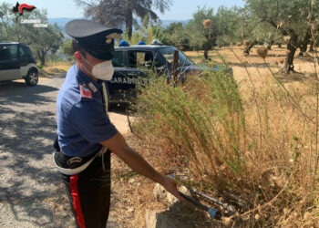 Allacci abusivi alla rete idrica, 3 persone denunciate dai Carabinieri di Cirò e Belvedere Spinello