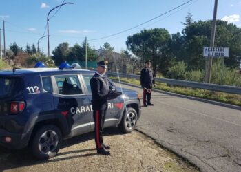Nascondeva marjuana tra un pony e una capretta e nella sua abitazione: arrestato dai Carabinieri