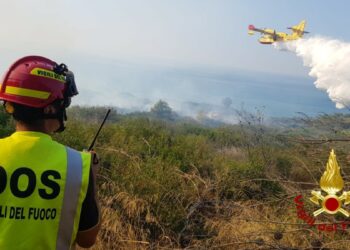 Incendio pineta in contrada Sovereto a Isola Capo Rizzuto, evacuate 30 persone ospiti di un camping