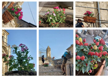 L’antico borgo di Cirò si colora con tante piantine fiorite