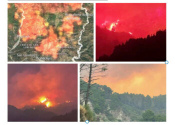 Lega, Saccomanno: “per gli incendi intervenga un esercito di volontari e tutti devono denunciare”