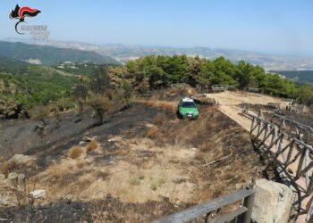 San Nicola dell’Alto, Brucia una superficie pari a 14 campi da calcio: due denunciati dai Carabinieri forestali