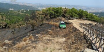 San Nicola dell’Alto, Brucia una superficie pari a 14 campi da calcio: due denunciati dai Carabinieri forestali