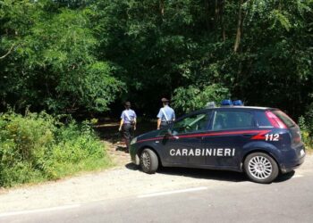 Satriano, 20enne sbranata e uccisa da un branco di cani