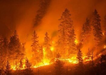 Incendi, Spirlì: «Situazione drammatica, attivi 110 roghi in tutta la Calabria»