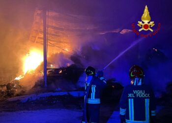 In fiamme capannoni di un’azienda agricola a Isola Capo Rizzuto, intervengono i Vigili del Fuoco