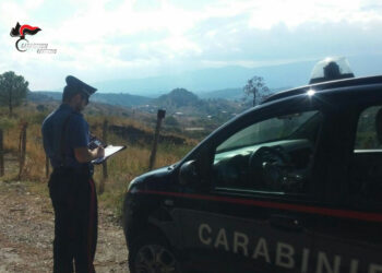 Allacci abusivi alla rete idrica a Melissa e Belvedere Spinello: due persone denunciate