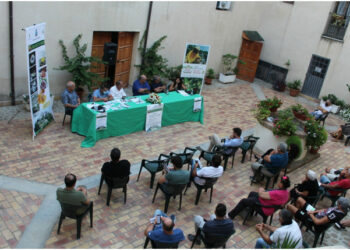 Concluso il percorso sensoriale “Dolce gusto di Verzino” un progetto per la valorizzazione del miele e delle eccellenze gastronomiche