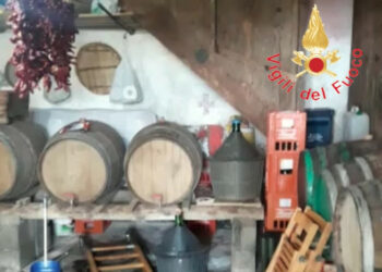 Morte 4 persone da esalazioni tossiche  mentre travasavano il mosto, una quinta persona rimasta ferita