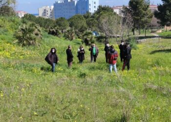 Gli studenti del Ciliberto di Crotone mostrano bravura al convegno dei Carabinieri della Biodiversità nell’ambito del contest “All4Climate Italy 2021”