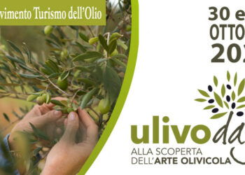 Ulivo Day: in Calabria turismo esperienziale e valorizzazione del territorio