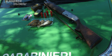 Cirò, esercitava attività venatoria abusiva su specie protette e con mezzi vietati: denunciato cacciatore