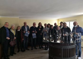 Visita del Rotary Club Normandia al Club Cirò