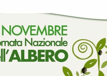 Il 21 novembre Giornata nazionale degli Alberi, il circolo legambiente Nicà aderisce all’iniziativa