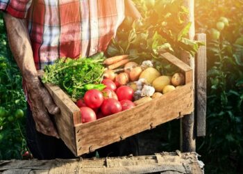 Coldiretti Calabria: non si specula sul cibo! solo 15 centesimi remunerano il prodotto agricolo