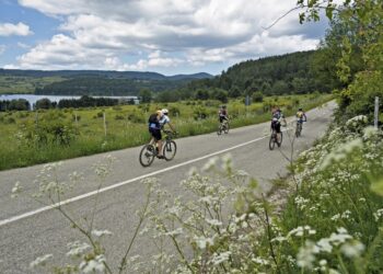 14 Comuni aderiscono al progetto “Borghi di Vini, tra Cultura e Natura” promosso dal Gal Kroton