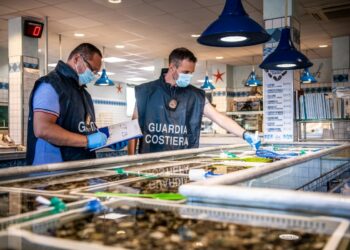 3.752 tonnellate di prodotto ittico rinvenuto privo di tracciabilità ed in parte scaduto, sequestrato dalla Guardia Costiera