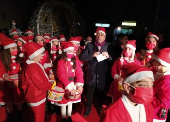 Serata magica a Cirò Marina, con l’accensione dell’Albero di Natale e una carrozza illuminata trainata da due cavalli