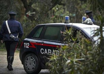 Bracconiere sorpreso a cacciare con un fucile artigianale, arrestato dai Carabinieri