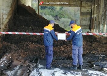 Controlli ambientali presso un frantoio: scatta la denuncia al titolare per smaltimento illecito di rifiuti