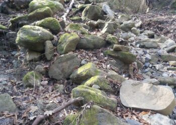 Cirò, i ruscelli: un vero patrimonio di biodiversità, quando la natura diventa arte