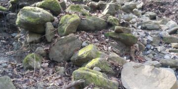 Cirò, i ruscelli: un vero patrimonio di biodiversità, quando la natura diventa arte