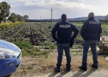 Rocca di Neto: la Polizia di Stato sorprende 6 lavoratori sprovvisti di green pass