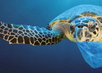 Cirò, Straordinaria scoperta: rinvenuto antico mulino rinascimentale