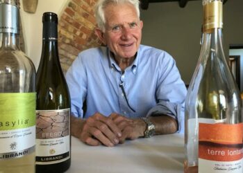 Il Megonio dell’Azienda Librandi miglior vino per la Guida Vitae 2022 dell’Ais