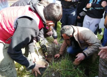 Cariati, un albero per il futuro con i Carabinieri della Biodiversità