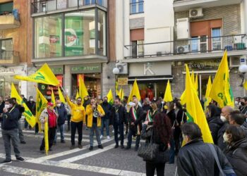 Coldiretti Calabria: situazione drammatica delle aziende agricole