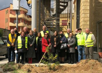 Il Lions Club Cirò Krimisa a sostegno dell’ambiente e dei diritti delle donne