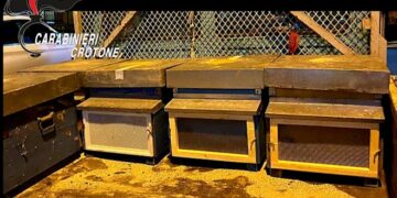 Mesoraca, trovati in possesso di 5 arnie di provenienza furtiva: 2 denunciati per ricettazione