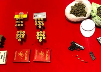 Petilia Policastro, detengono droga e pistola in casa: arrestati due fratelli