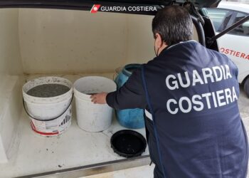 Sequestrati dalla Guardia Costiera 114 kg di “bianchetto”, multa di 10 mila euro