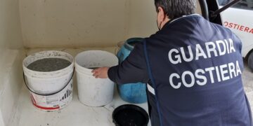 Sequestrati dalla Guardia Costiera 114 kg di “bianchetto”, multa di 10 mila euro