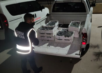 Viaggiava in auto sulla SS106 con 150kg di “bianchetto”, sequestro e multa di 10mila euro dalla Guardia Costiera di Crotone