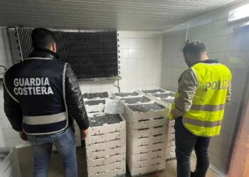 Guardia Costiera e Polizia Stradale sequestrano oltre mezza tonnellata di “bianchetto” sulla SS106 a Crucoli Torretta